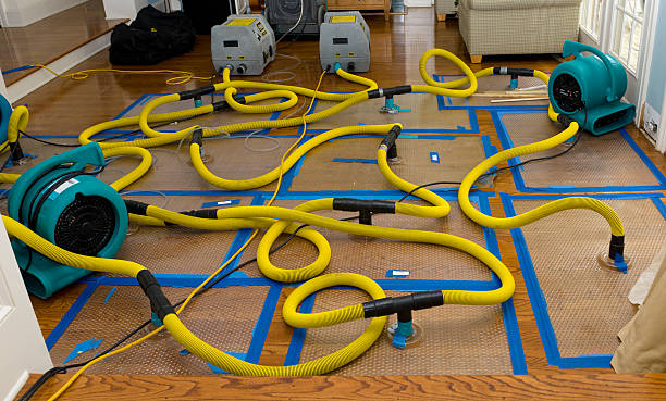 Professional Burst Pipe Water Damage technician working in Danville, WA